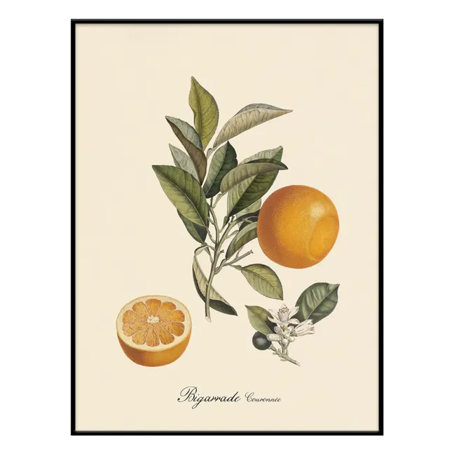 Affiche Bigarrade Couronnée