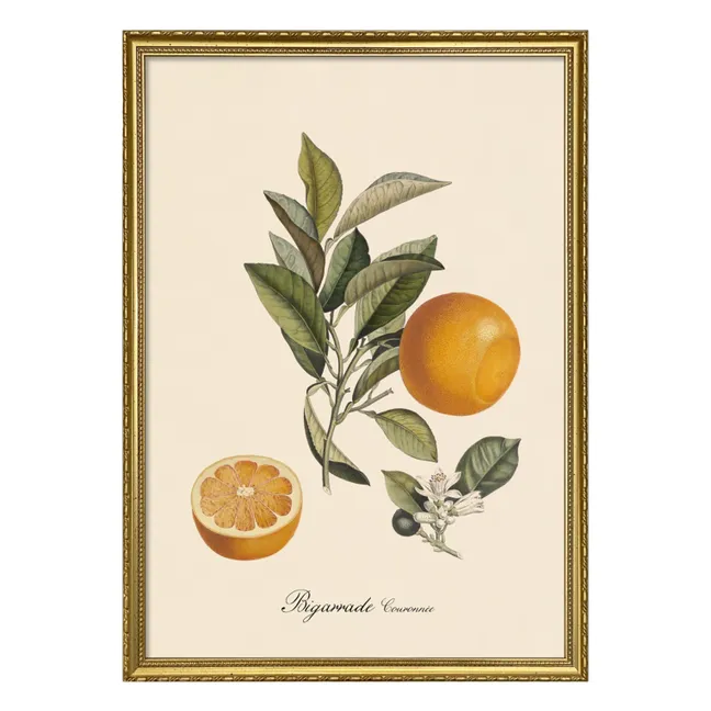 Affiche Bigarrade Couronnée