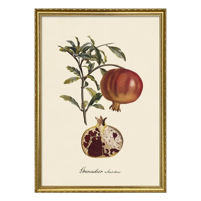 Affiche Grenadier à Fruit Doux