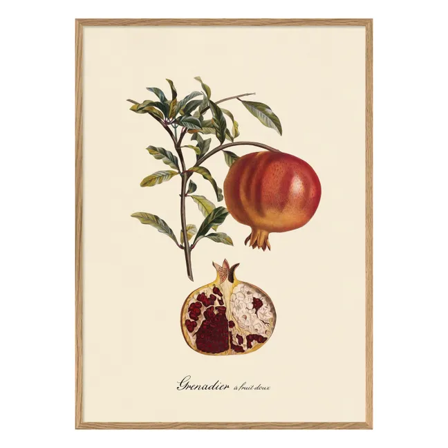 Affiche Grenadier à Fruit Doux