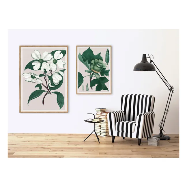 Affiche Cornus Florida