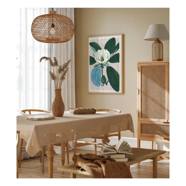 Affiche Magnolia Glauca