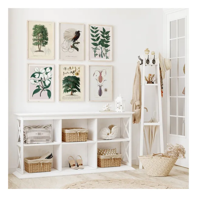 Cartel de Cornus Florida