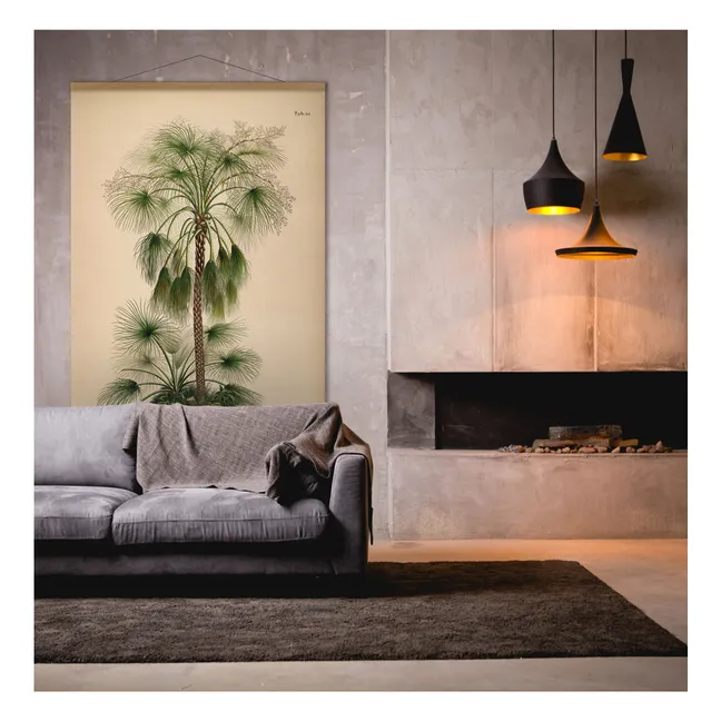 Affiche Livistona Humilis