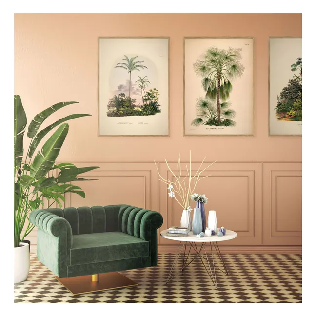 Affiche Livistona Humilis