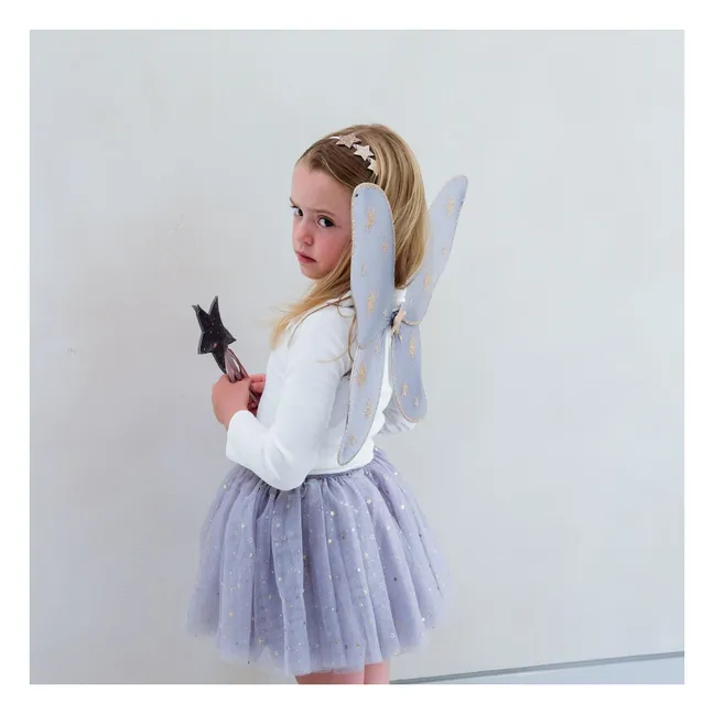 Starry Night Fairy Wings | Grey