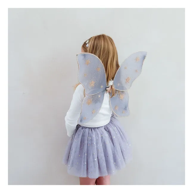 Starry Night Fairy Wings | Grey