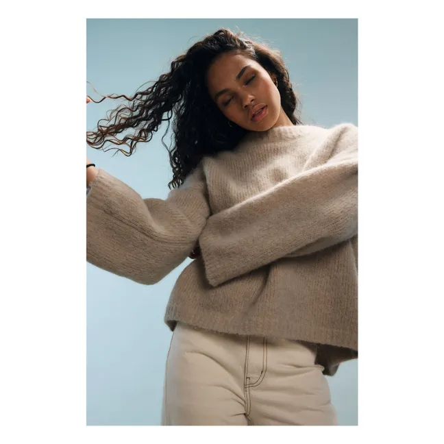 Pull Nina Alpaga | Marron