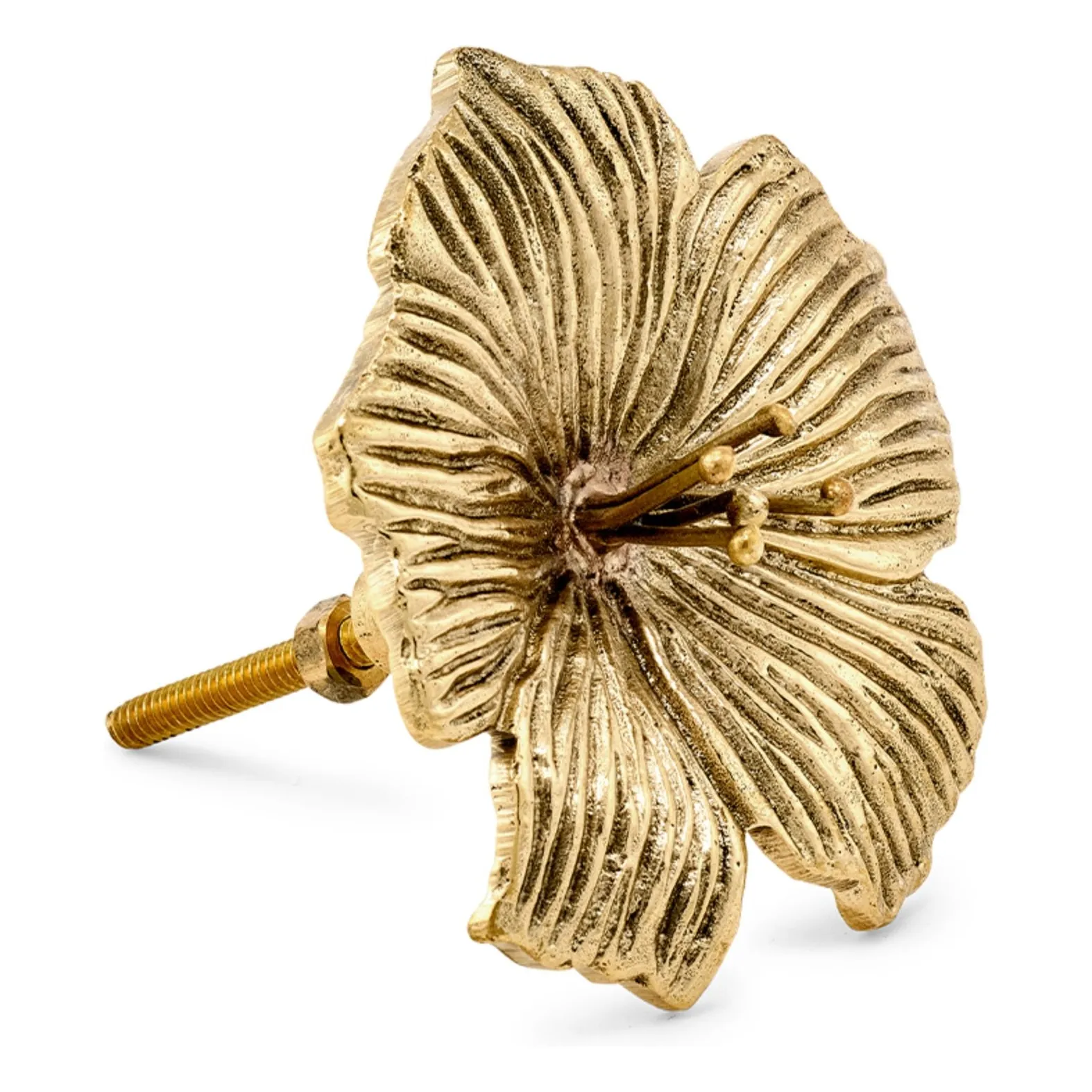 Doing Goods Gold Hailey Brass Door Handle