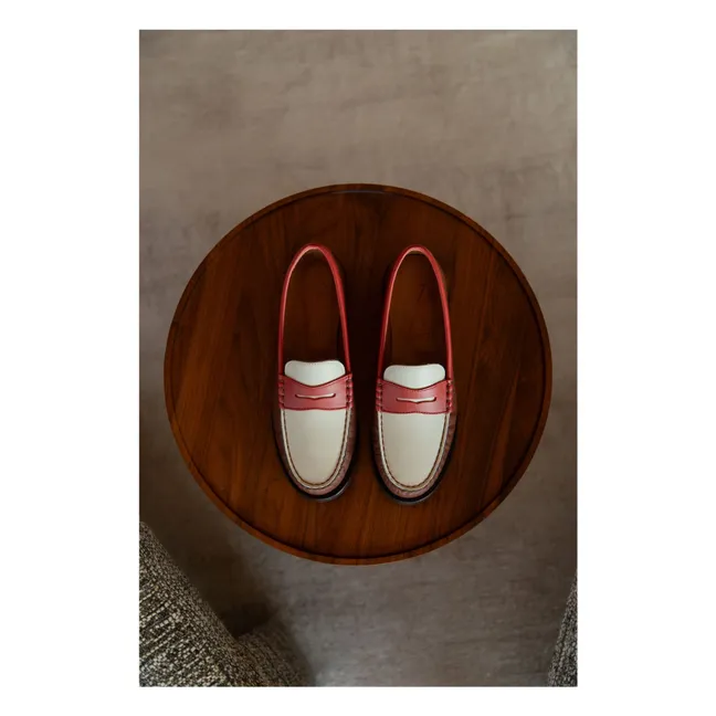 Mocassins Penny Tricolore | Marron