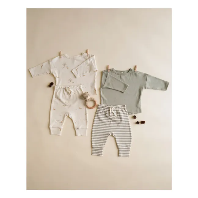 Pantalon Rayé Coton Bio | Vert céladon