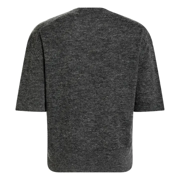 Pull Manches Courtes Alpaga | Gris- Image produit n°1