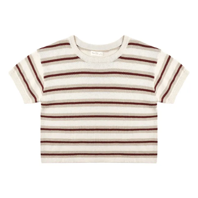 Crop Top Mesh T-shirt | Stone