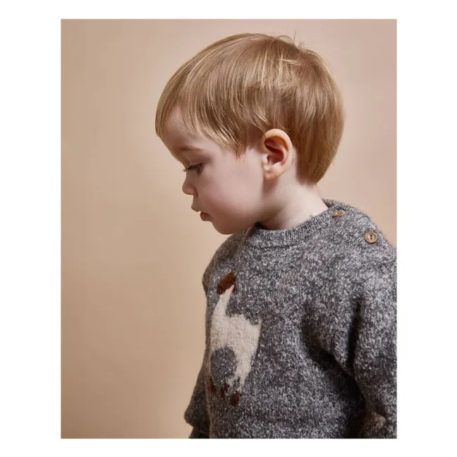 Pull Lama Fibres Recyclées | Gris