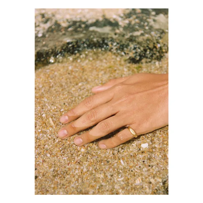 Ritter Bonita | Gold