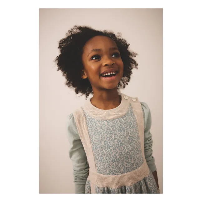 Mathilda dress Merino wool | Pale blue