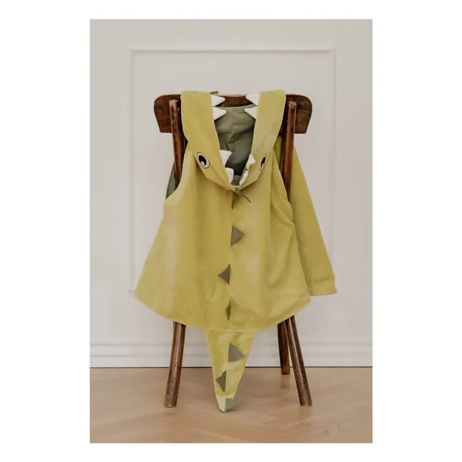 Crocodile disguise | Green