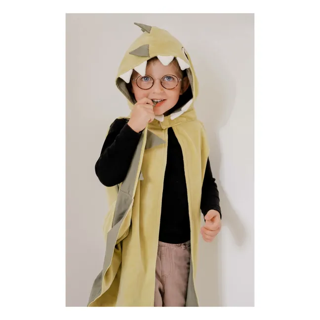 Crocodile disguise | Green