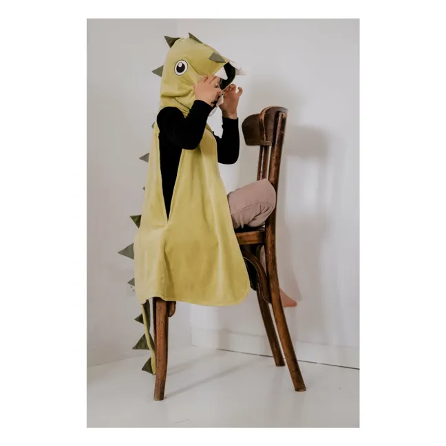 Déguisement Crocodile | Vert