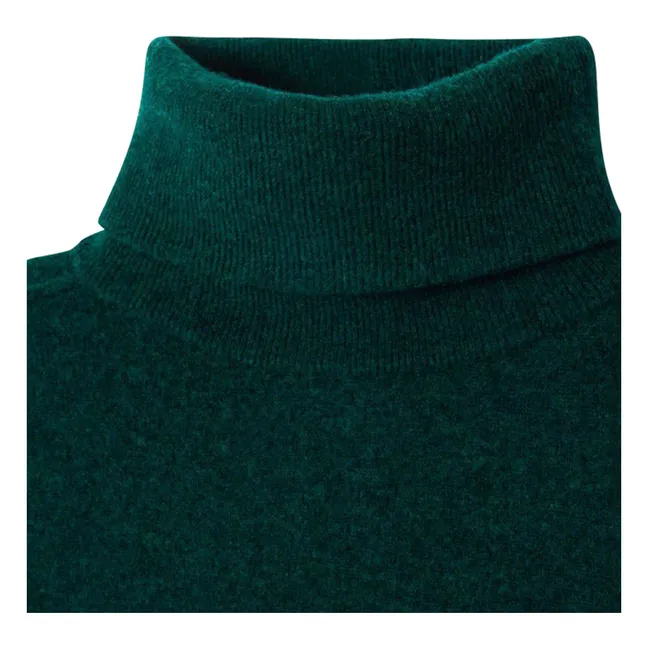 Raxow Wool Roll Neck Sweater | Dark green