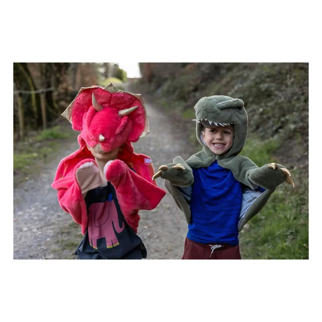 Cape de Triceratops | Corail