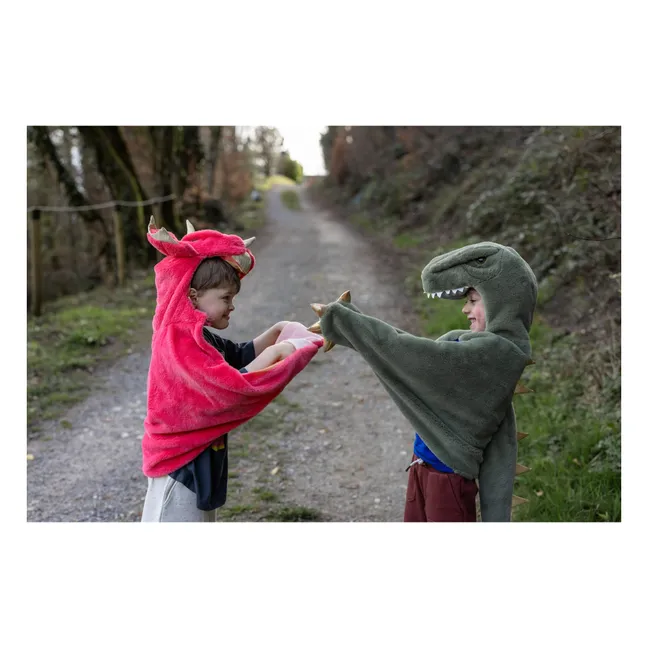 Triceratops cape | Coral