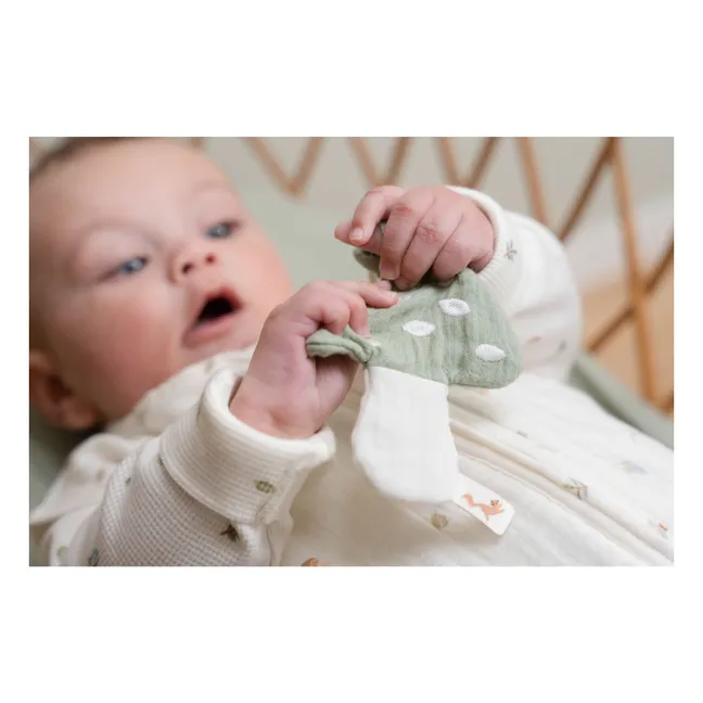 Grasshopper Mushroom | Pale green