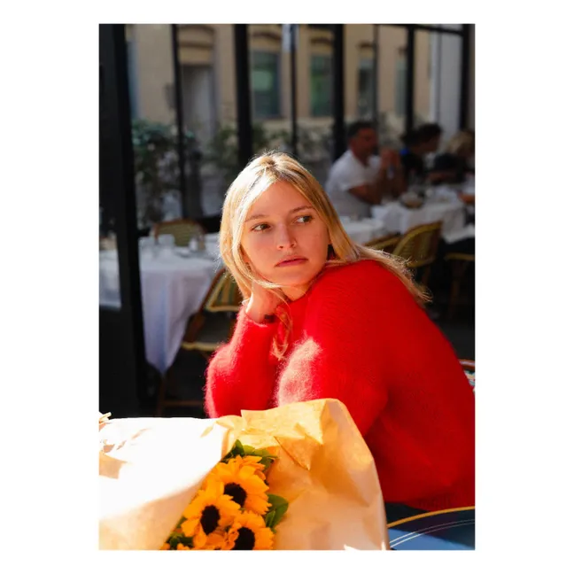 Jane Super Kid Mohair sweater | Red