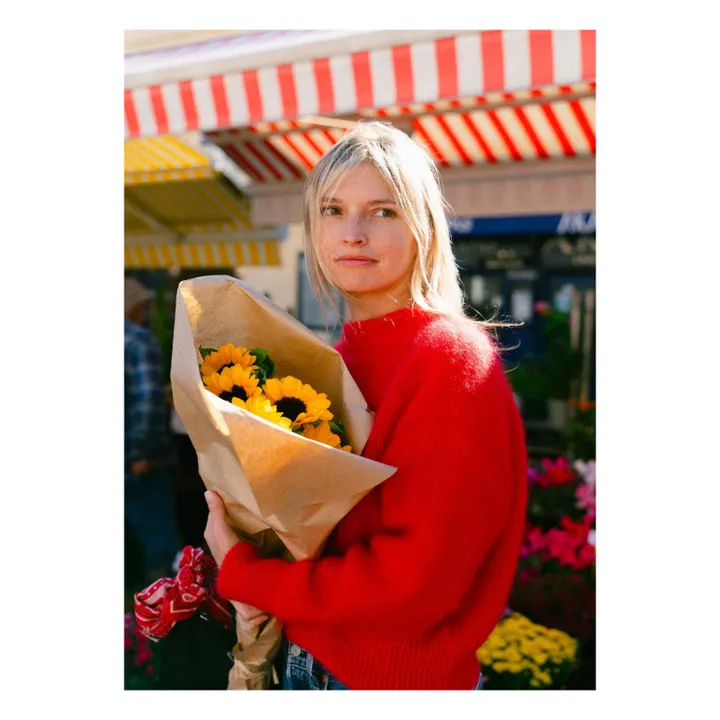 Jane Super Kid Mohair sweater | Red- Product image n°2