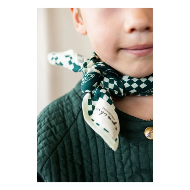 Manika Small Scarf | Green