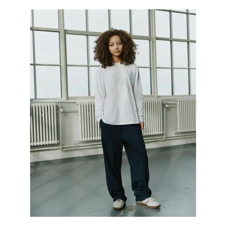 Pantalon Nolasy Rayé | Bleu marine- Image produit n°1