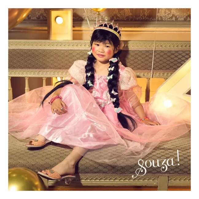 Déguisement Princesse Annerose