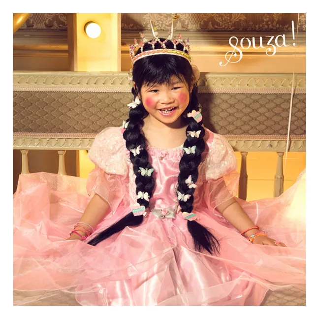 Déguisement Princesse Annerose