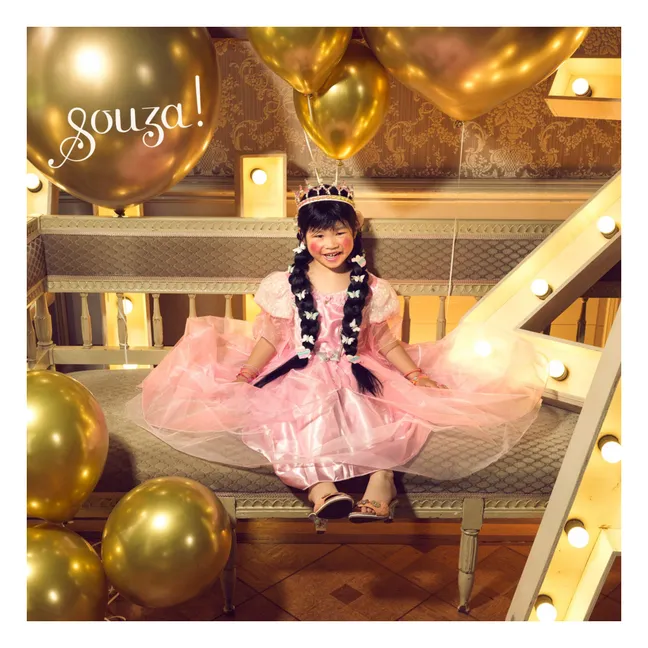 Déguisement Princesse Annerose