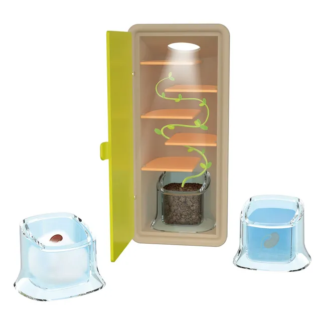 Conjunto Little Sprouts