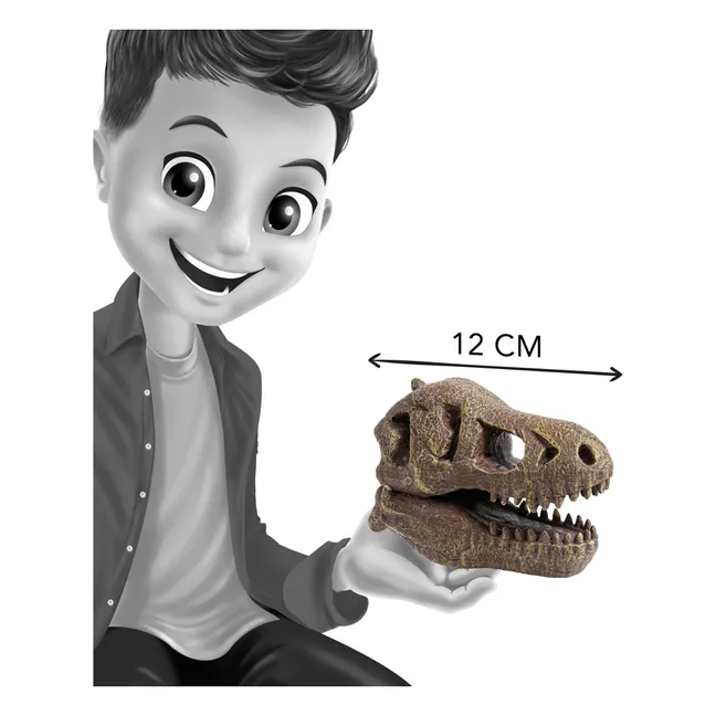 Coffret d'archéologie - Museum Dino Skull