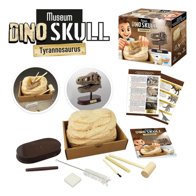 Cofanetto archeologico - Museo Dino Skull