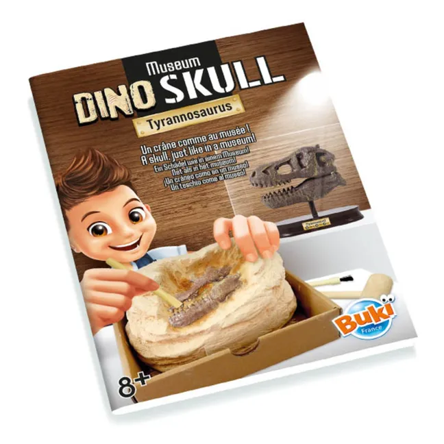 Cofanetto archeologico - Museo Dino Skull