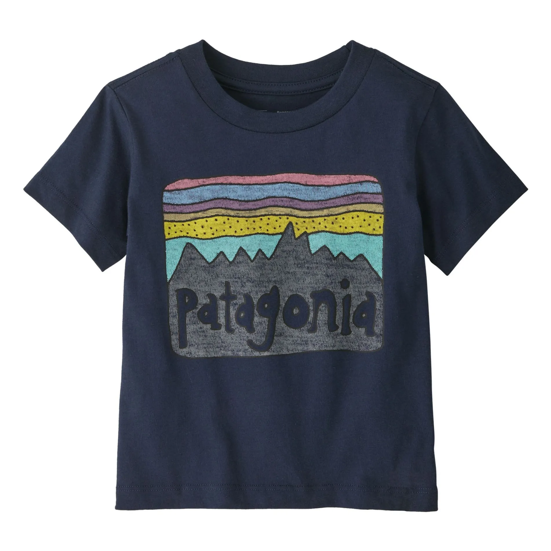 Patagonia Navy Blue Fitz Roy Skies T-Shirt