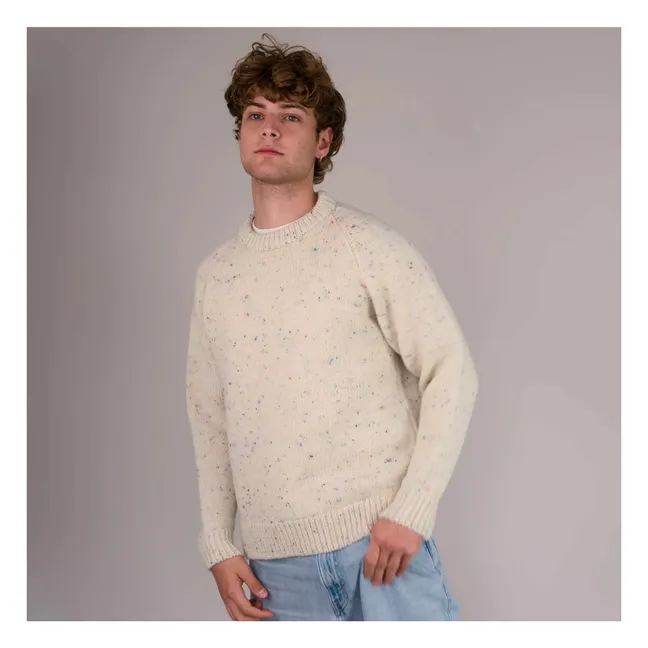 Raglan-Pullover Chunky Wolle | Seidenfarben