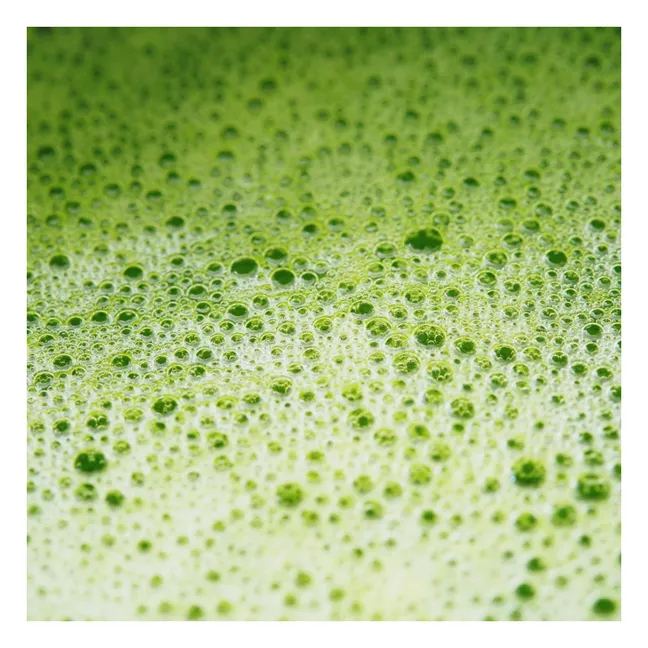 Matcha latte essenziale per il metabolismo - 146g