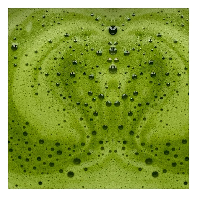 Matcha latte essenziale per il metabolismo - 146g