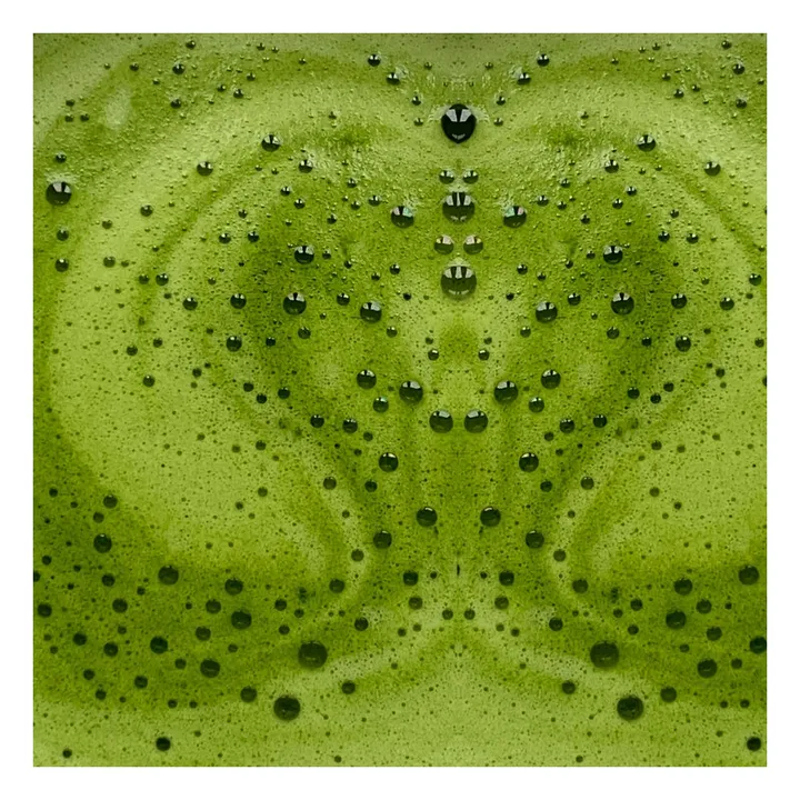 Matcha latte essentiel activateur de métabolisme - 146g- Image produit n°2