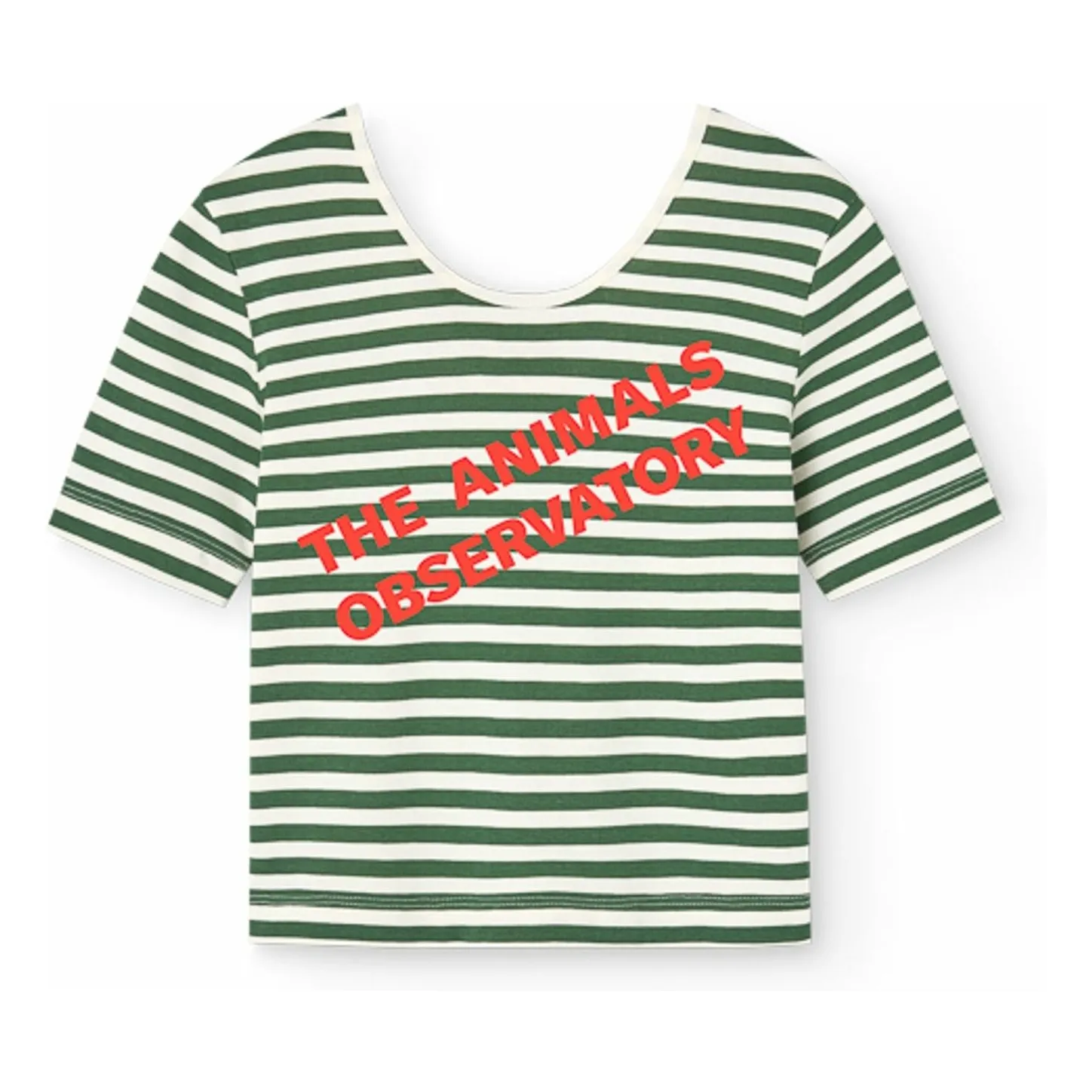 T-shirt Hippo Rayé | Vert- Image produit n°0