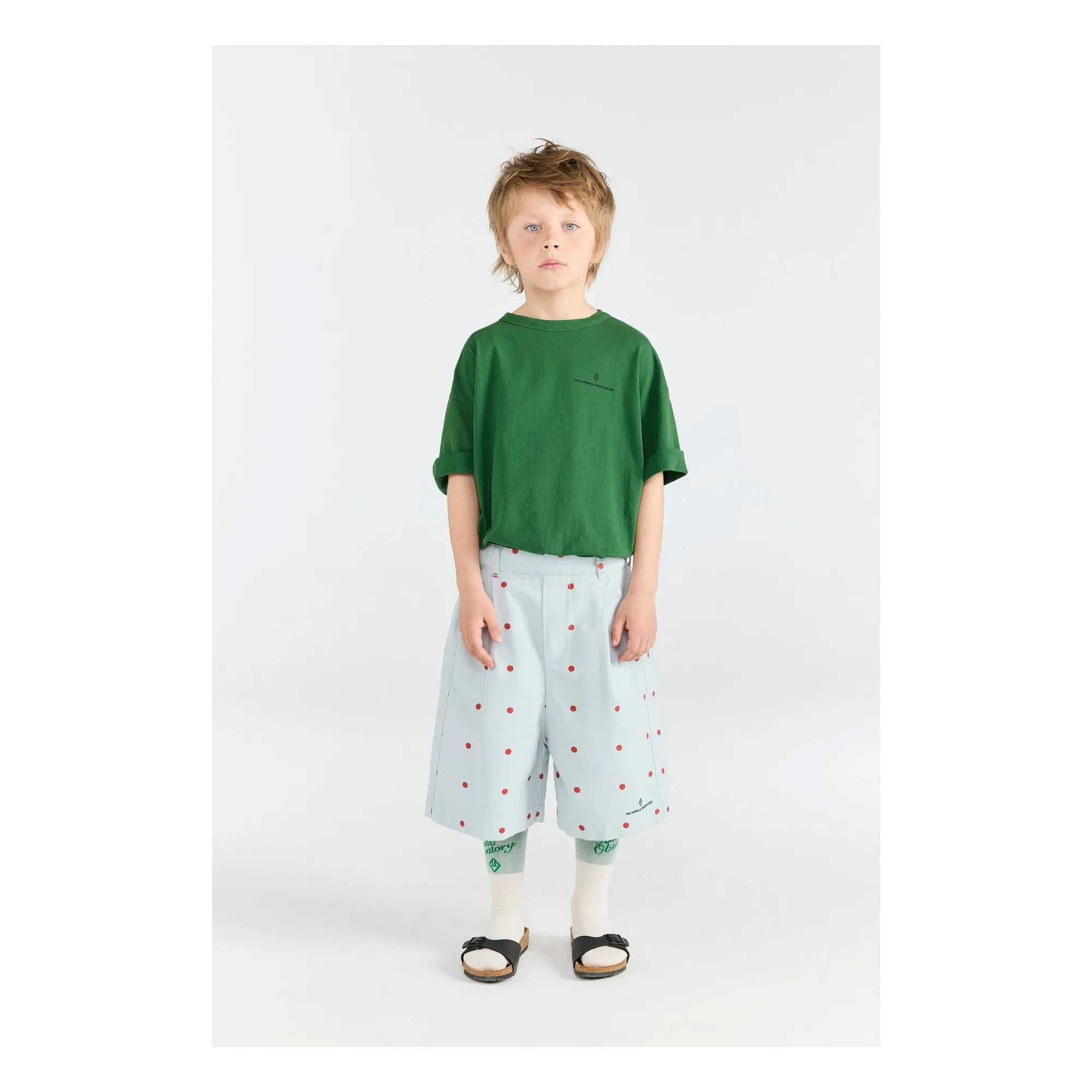 T-shirt Collie Sourire Coton Bio | Vert sapin- Image produit n°1