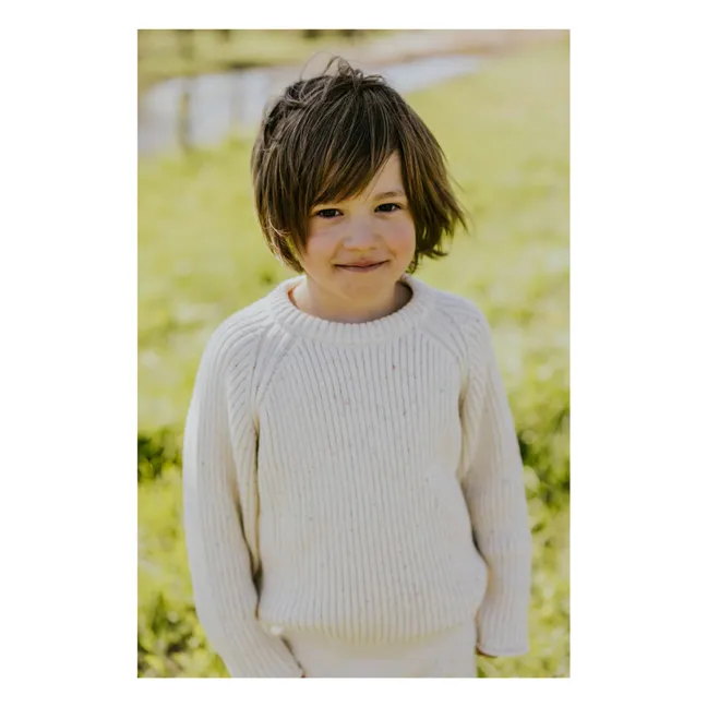 Organic Cotton Ribbed Sweater | Heather white