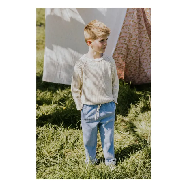 Pull Côtelé Coton Bio | Ecru chiné