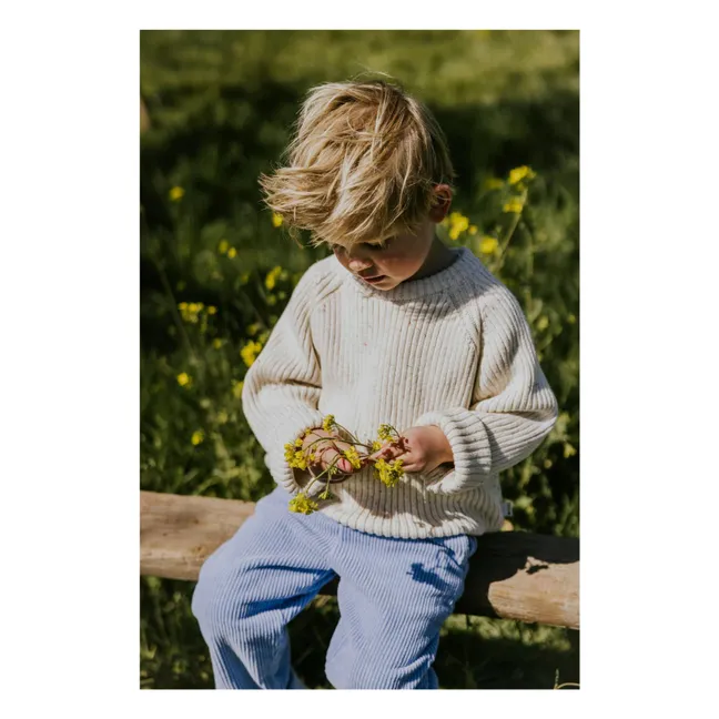 Organic Cotton Ribbed Sweater | Heather white