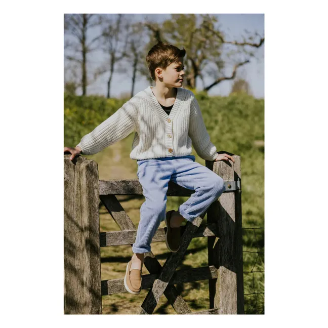 Pantalon Beau Velours Côtelé Bio | Bleu ciel