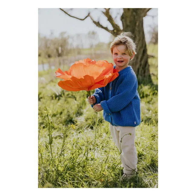 Raglan-Strickjacke aus Bio-Baumwolle | Blau